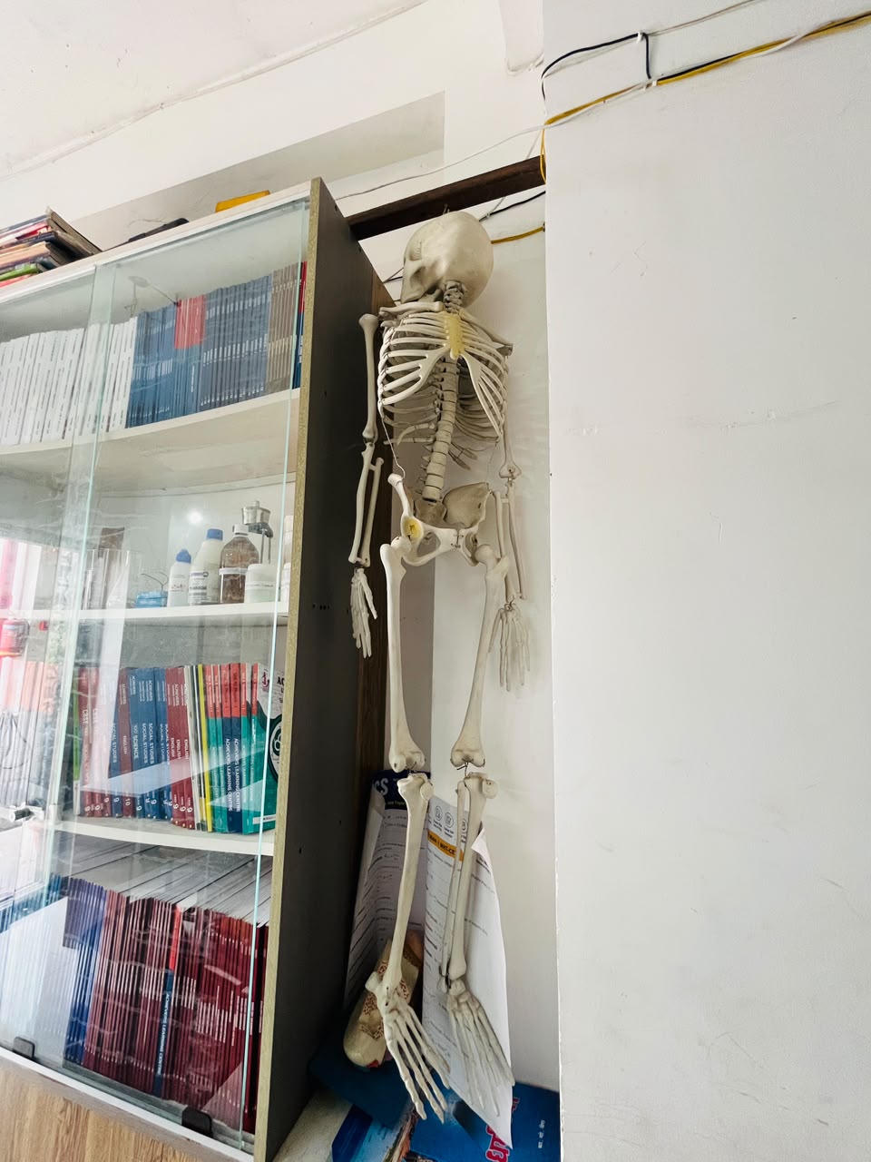 Study group
